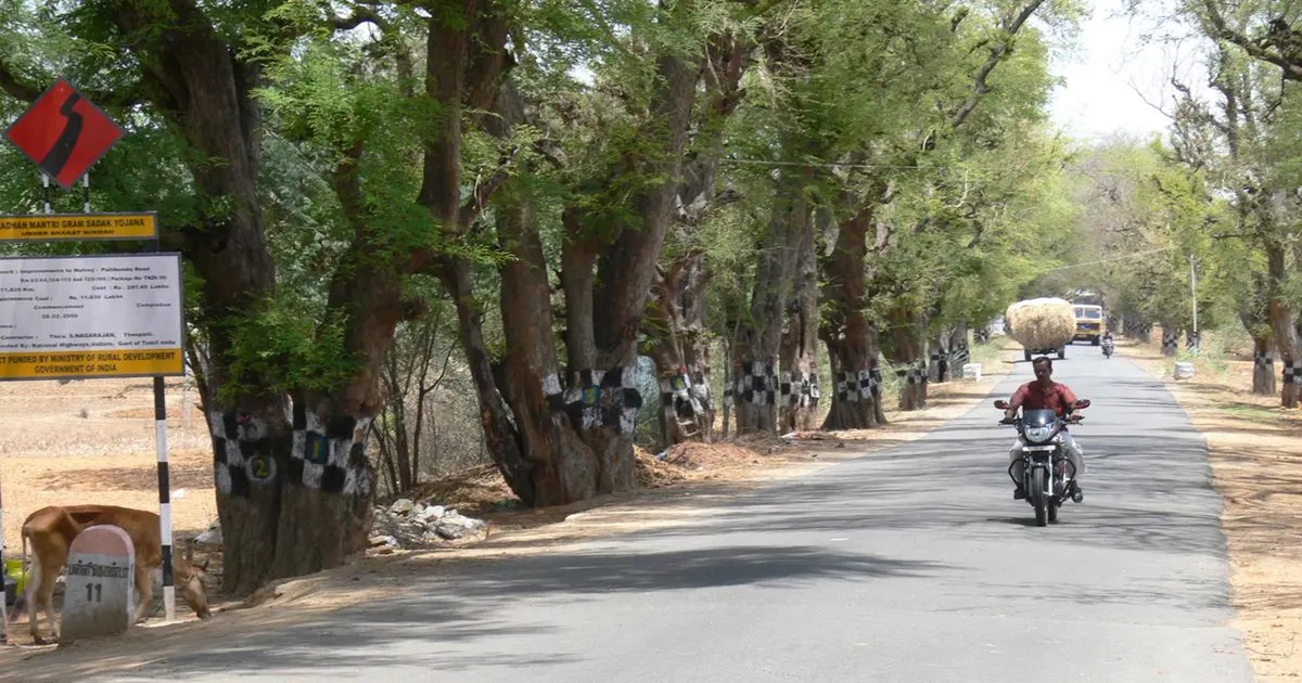 pmgsy over 7.8 lakh km roads completed across india