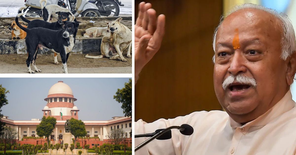 mohan bhagwat said dog's shelters will not solve the issue told on supreme court order