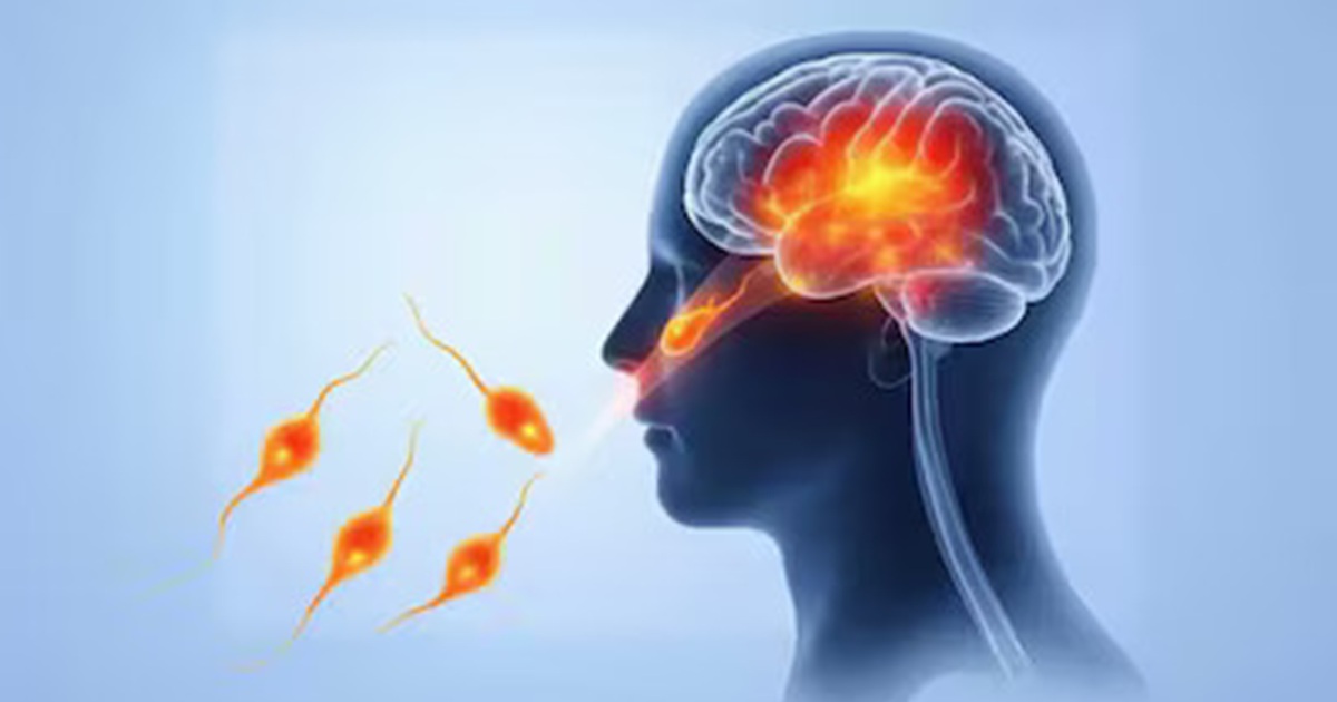 brain eating amoeba attack creates fear among people many dead in kerala what is it what precautions needed