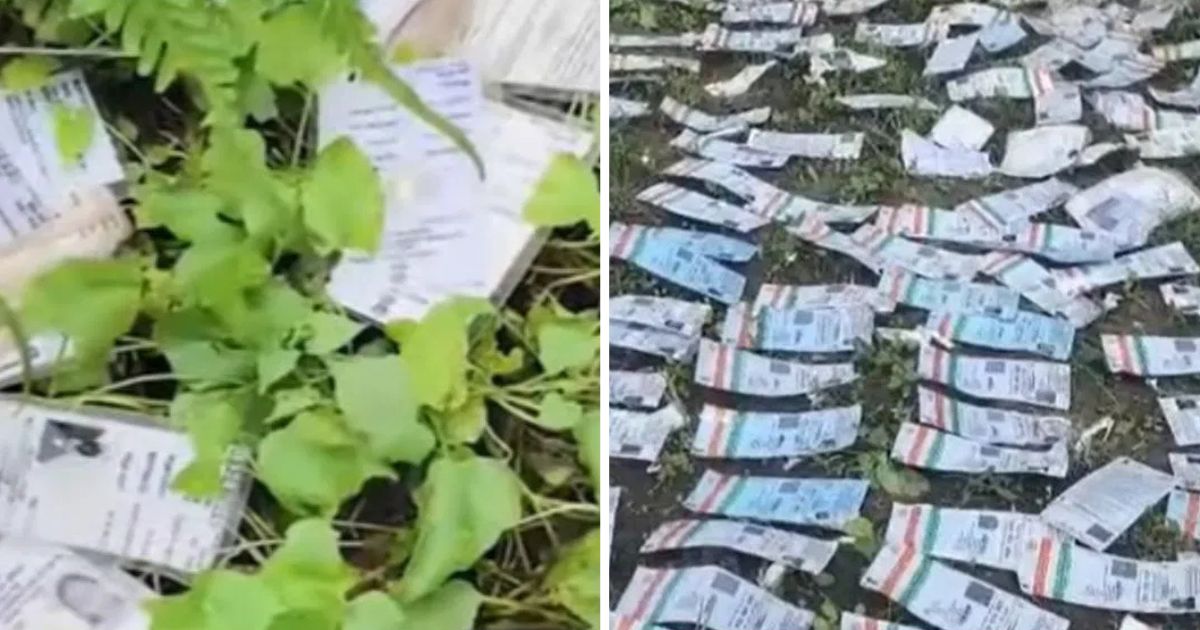 aadhar cards found in pond voter cards in bushes after starting sir what happened in bengal