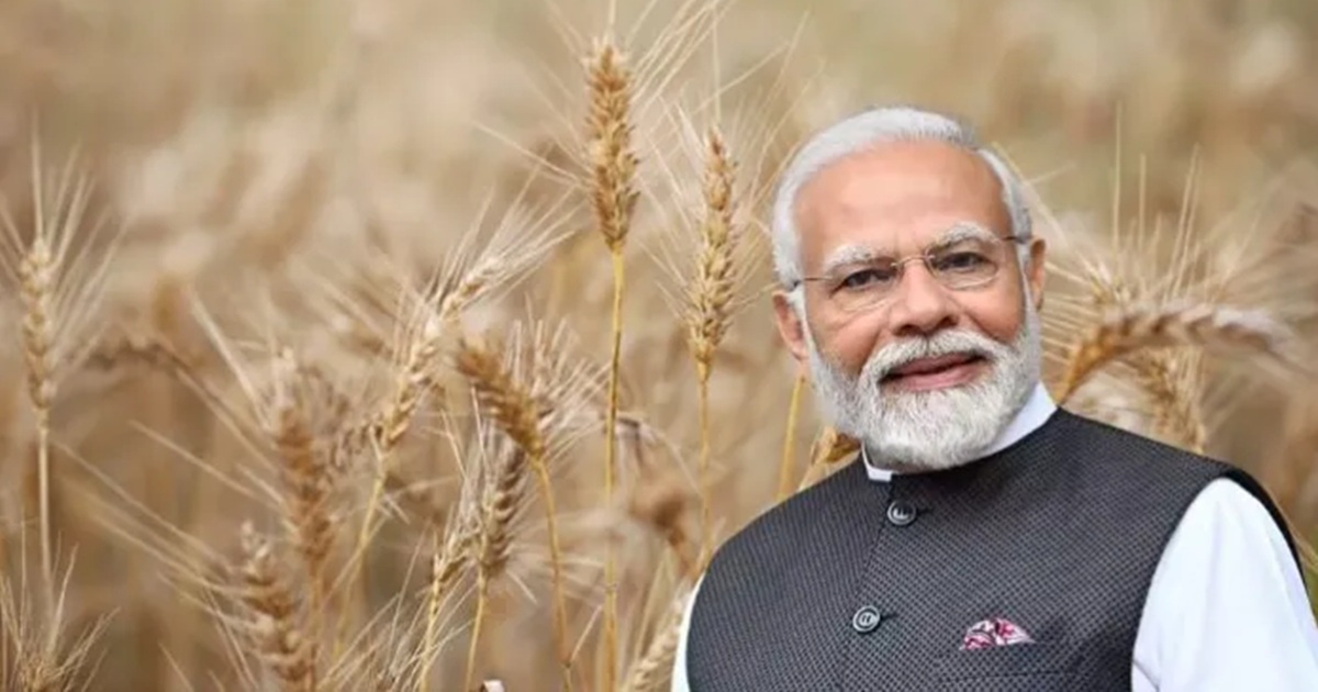 foodgrain-production-news-indias-food-grain-production-has-seen-the-highest-growth-in-the-last-10-years-says-shivraj-singh