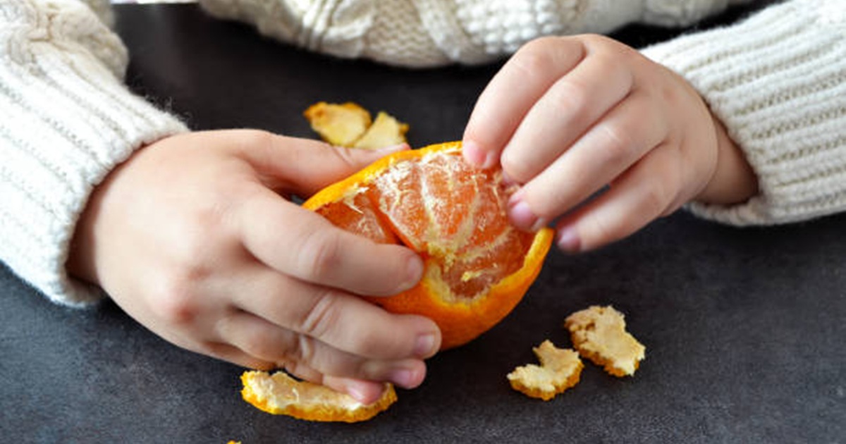 Orange Eating Benefits: শীতে প্রতিদিন শিশুদের ব্রেকফাস্টে থাকুক একটা কমলালেবু, কতখানি উপকারি এই ফল?
