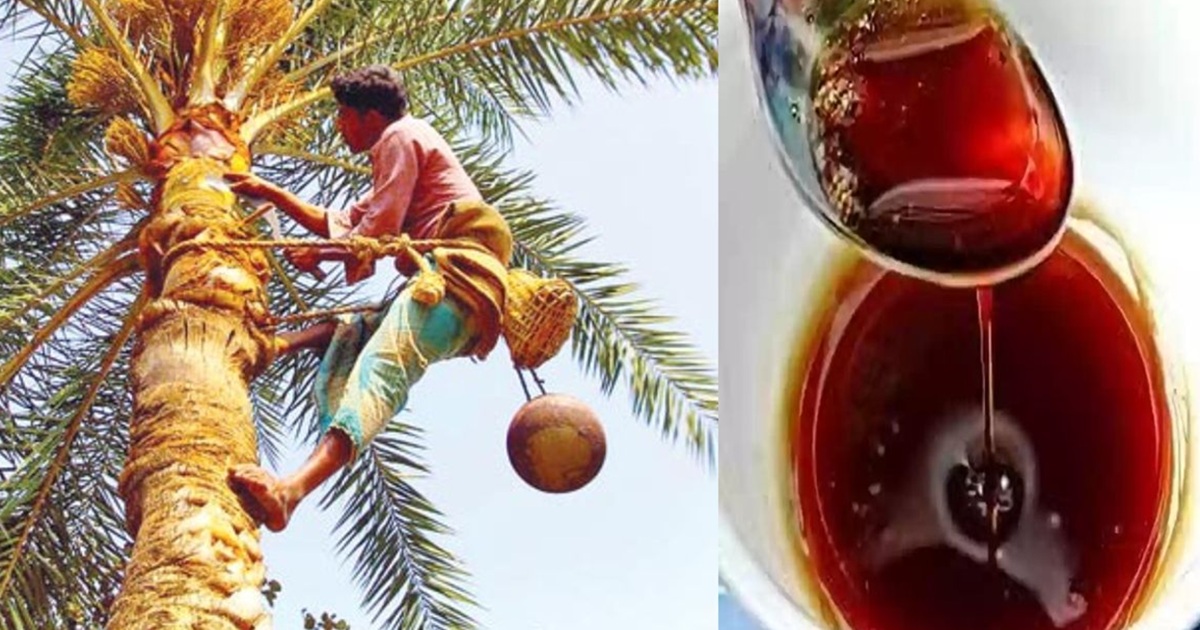 Nolen Gur Health Benefits: নতুন গুড় শুধু শুধুই স্বাদে-গন্ধে এগিয়ে? নাকি এতে রয়েছে স্বাস্থ্যের গুণাগুণও?