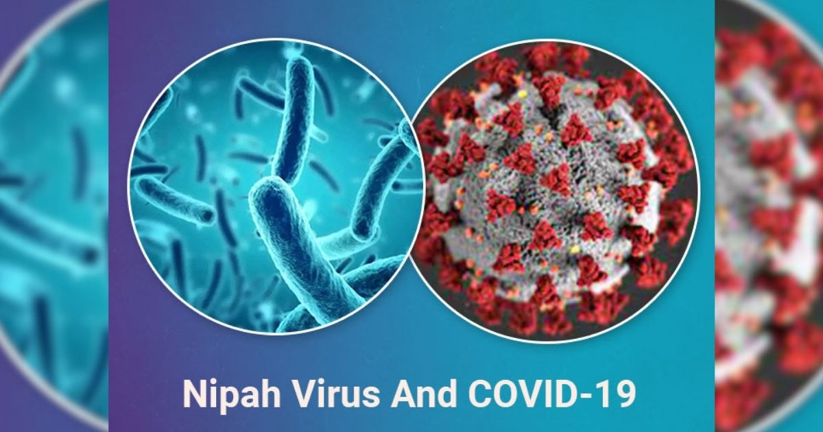 Nipah Virus: করোনার তুলনায় বেশি বিপজ্জনক নিপা ভাইরাস! কী বলছেন বিশেষজ্ঞরা?