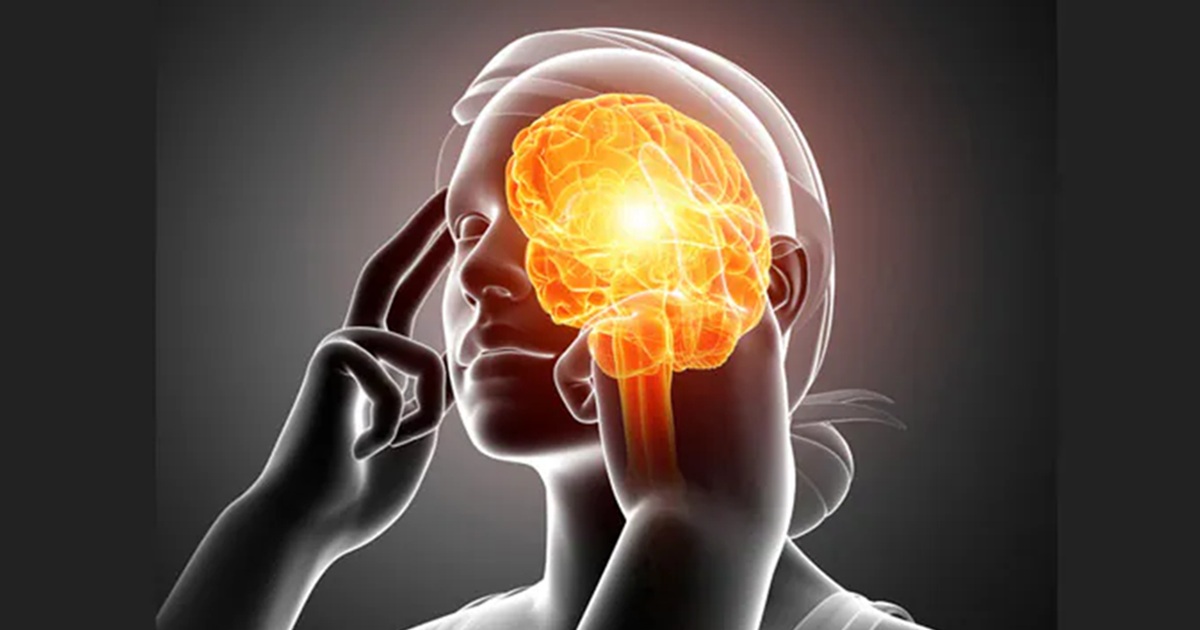 Brain Power: মস্তিষ্কের কার্যক্ষমতা কমছে! নেপথ্যে কোন খনিজের অভাব?