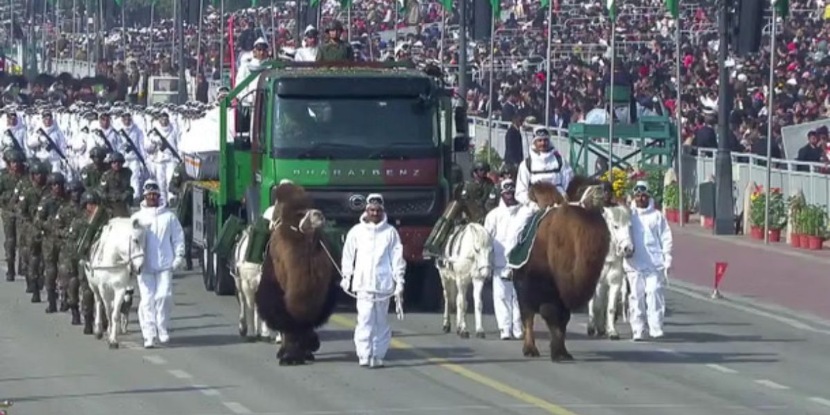 how-bactrian-camels-work-with-soldiers-in-ice-piles-at-17000-feet