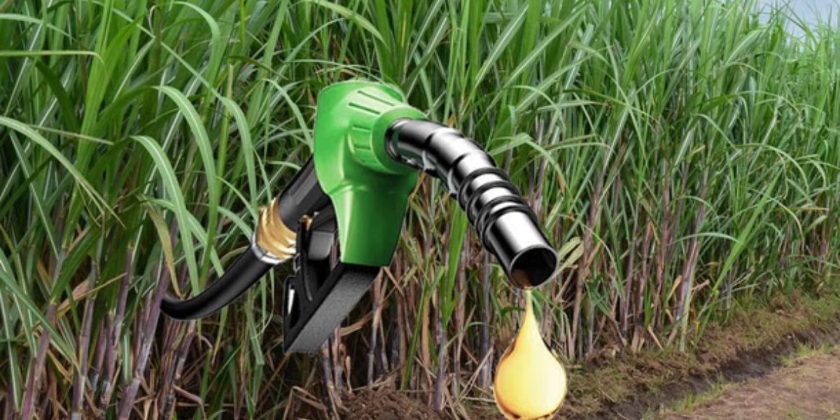 Economic Survey 2025-26: ইথানল ব্যবহারের কারণে ভারতে ১.৪৪ লক্ষ কোটি টাকার অপরিশোধিত তেলে ব্যবহারে হ্রাস
