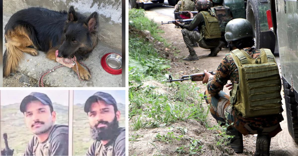 kishtwar encounter jaish commander saifullah among 3 terrorists killed in jammu and kashmir army dog tyson shot leads troops