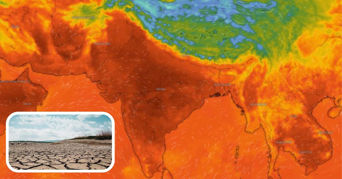 El Nino: তৈরি ‘এল নিনো’, শক্তিশালী হয়ে উঠছে উষ্ণ বায়ুর প্রভাব! ভারতের বর্ষা মঙ্গলে অশনি সংকেত