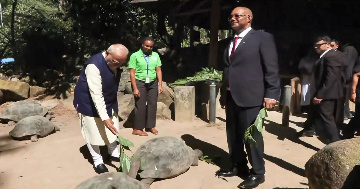 PM Modi: সেশেলসে রাষ্ট্রীয় সফর শুরু প্রধানমন্ত্রীর, নিজে হাতে খাওয়ালেন ‘জোনাথন’কে