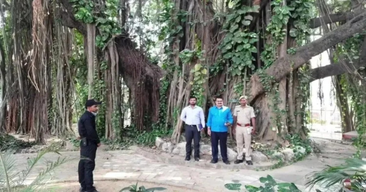 700-year-old banyan tree found in Munger